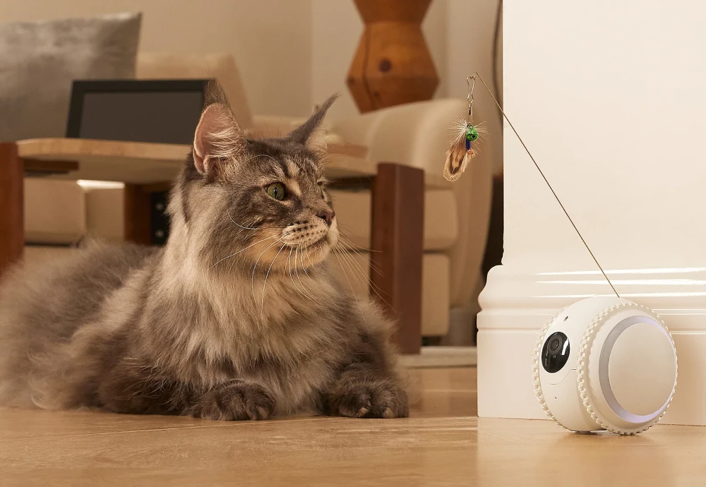 best smart pet camera