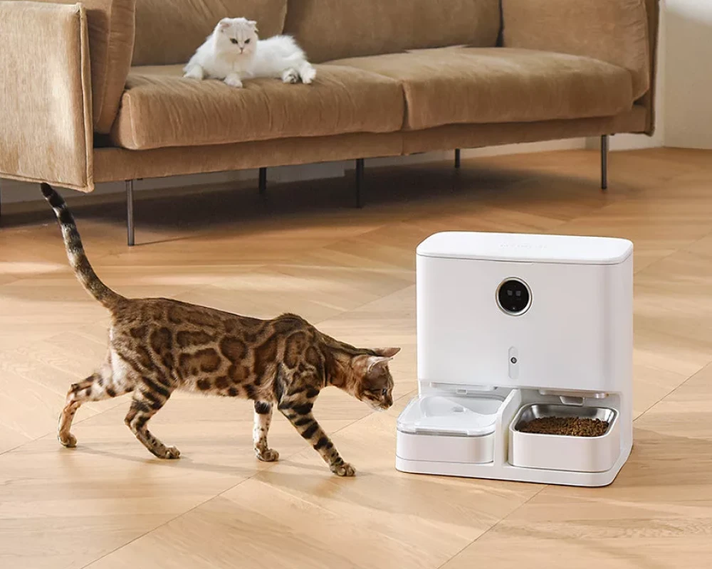 automatic pet feeder with camera