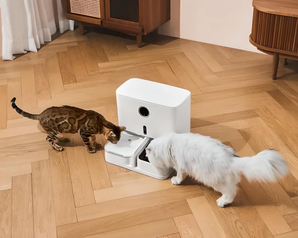 best cat feeder with camera